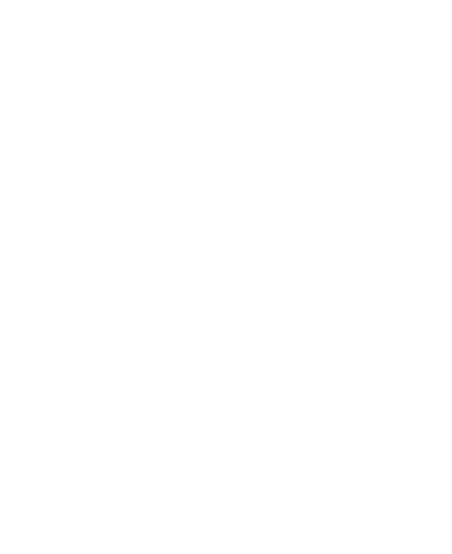 Icon item