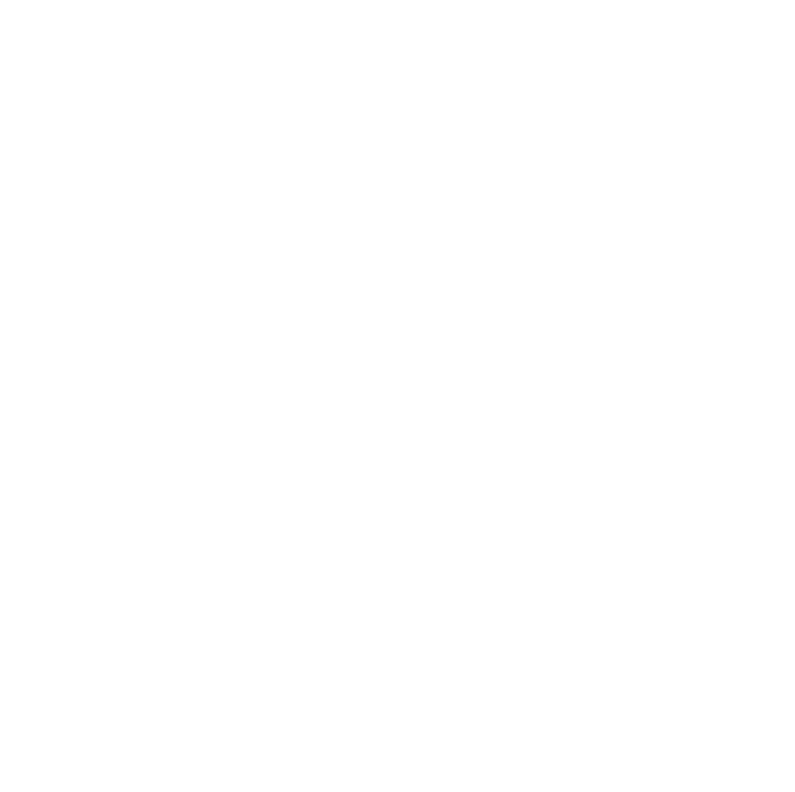 Icon item